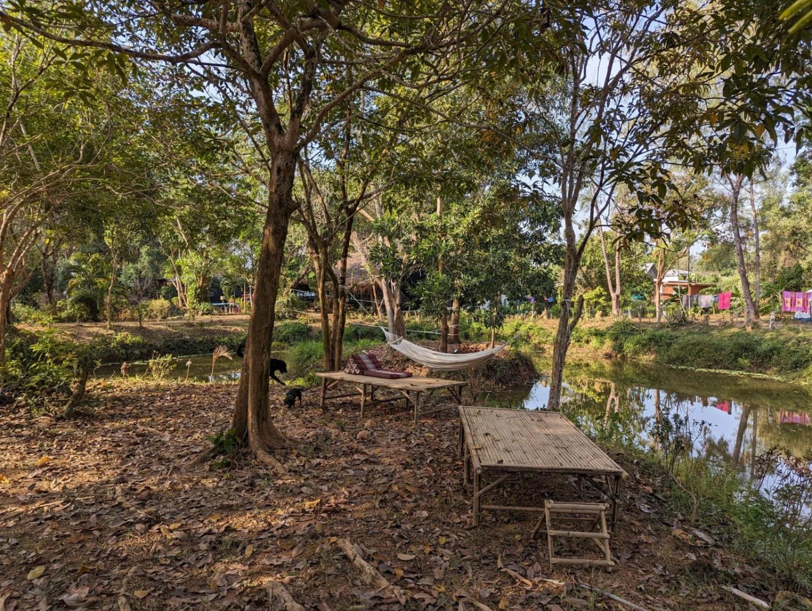 The River Retreat * Koh Mak