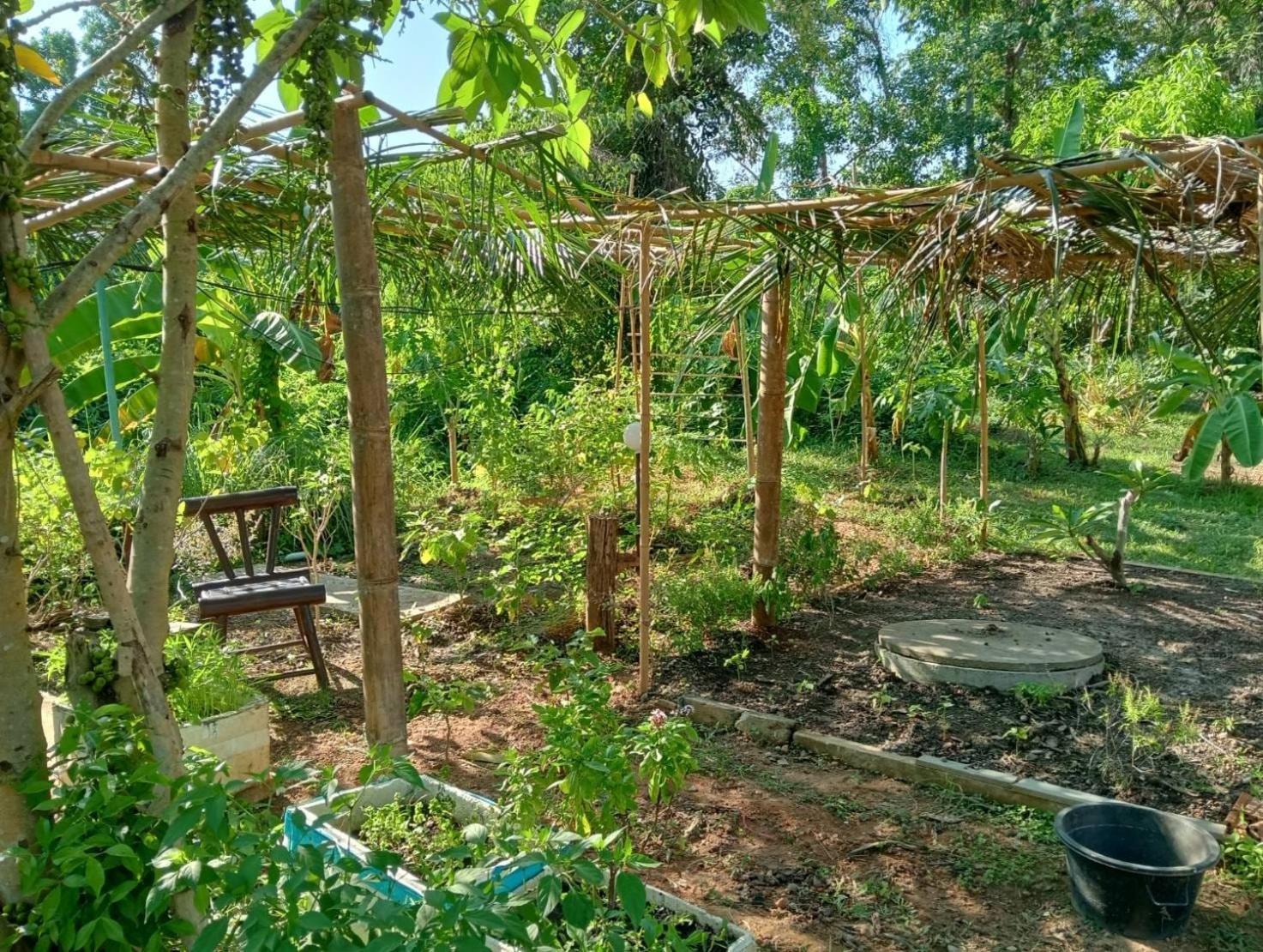 The River Retreat * Koh Mak
