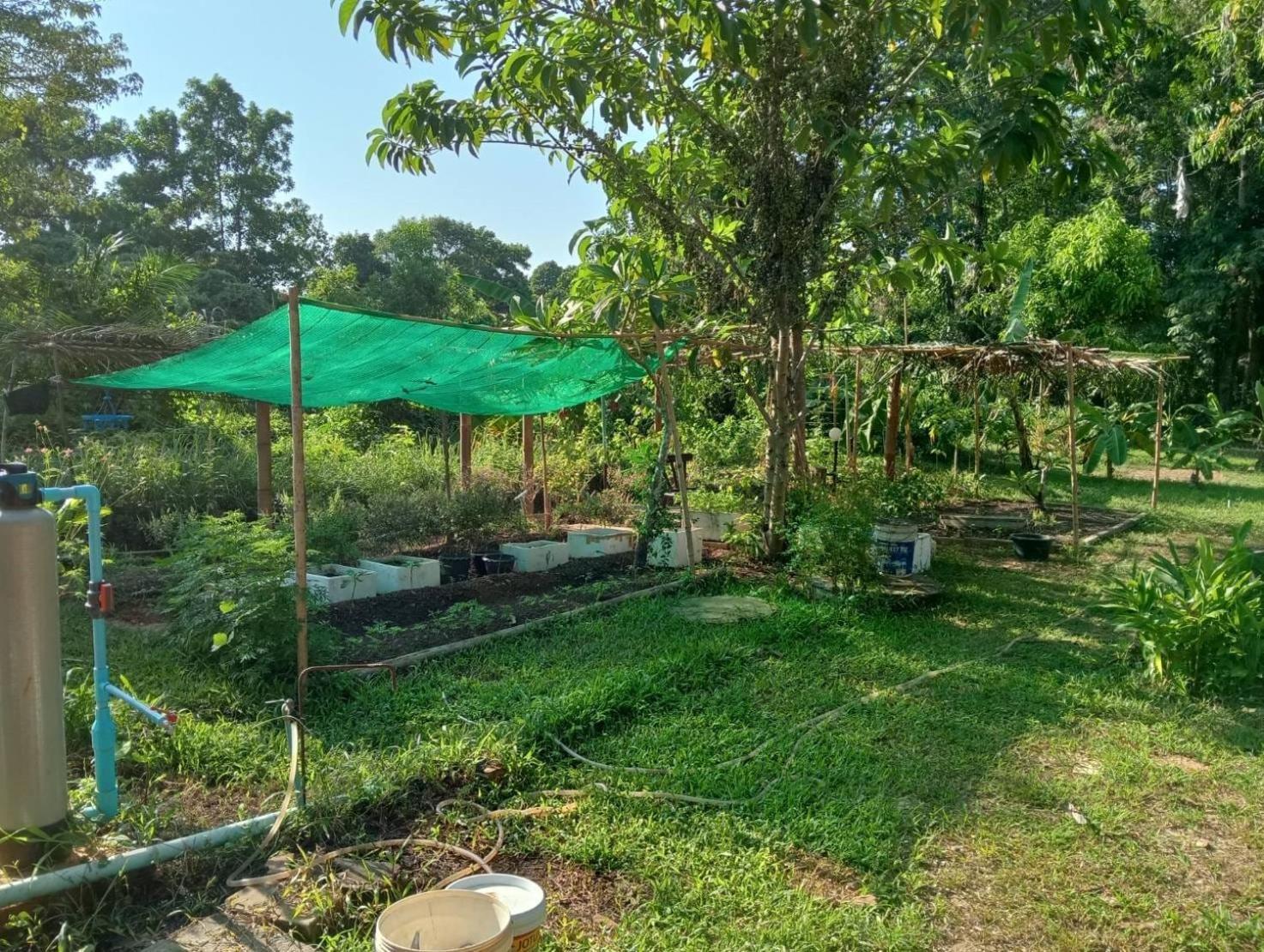 The River Retreat * Koh Mak